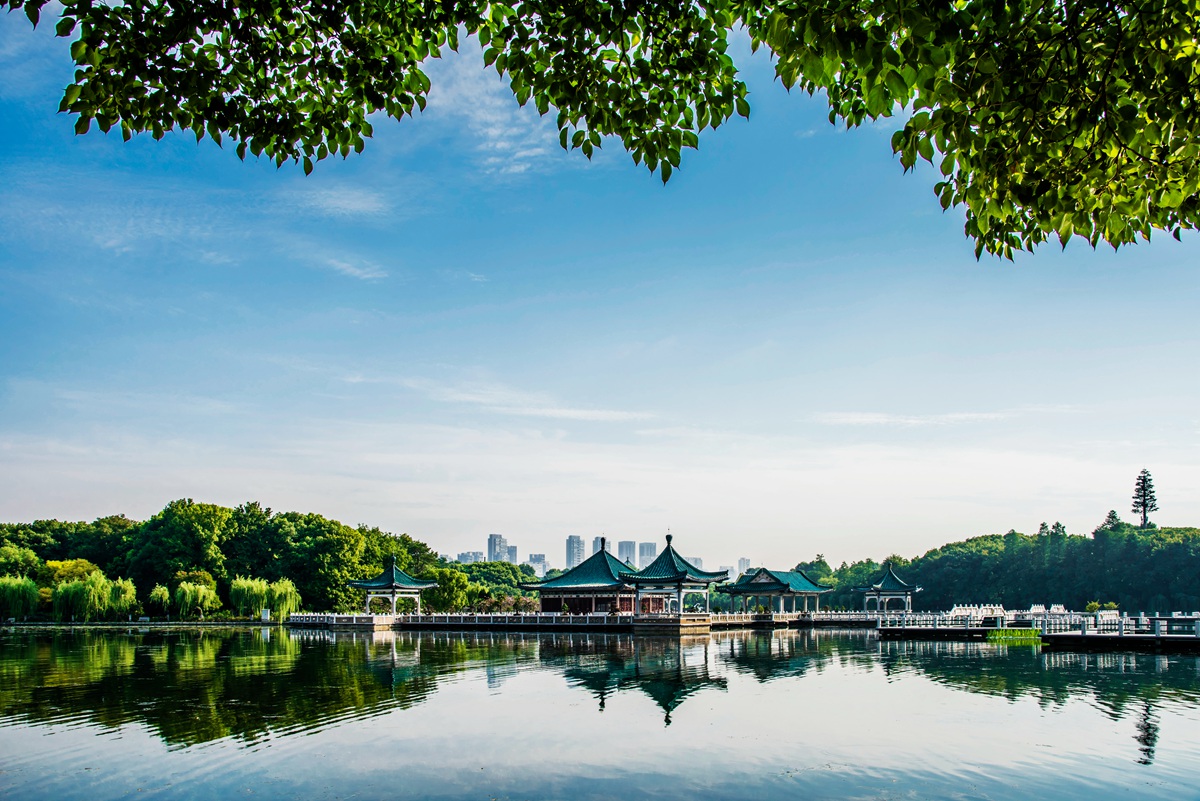 夏日的湖光